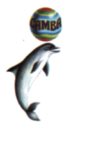 Camba